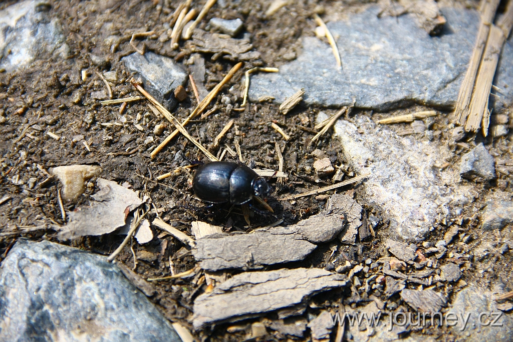 IMG_7909.JPG