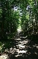 IMG_7907