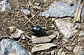 IMG_7909