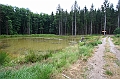 IMG_7917