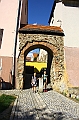 IMG_7945