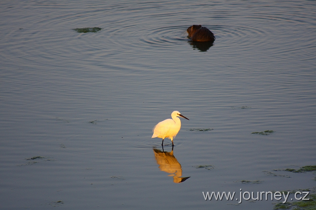 IMG_7994.JPG