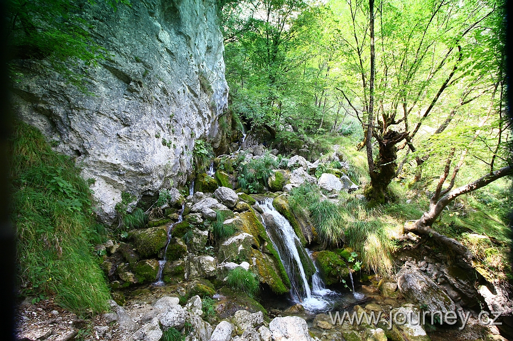 IMG_8017.JPG