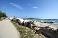 IMG_7969