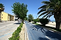 IMG_7975