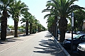 IMG_7997