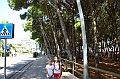 IMG_7999