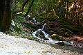 IMG_8010