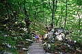 IMG_8014