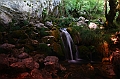 IMG_8020