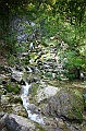 IMG_8028