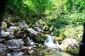 IMG_8032