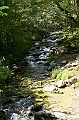 IMG_8041