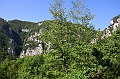 IMG_8043