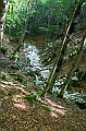 IMG_8070