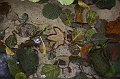 IMG_8145
