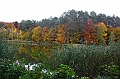 IMG_8147