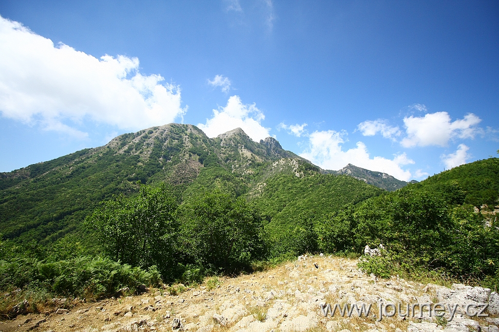 IMG_8316.JPG