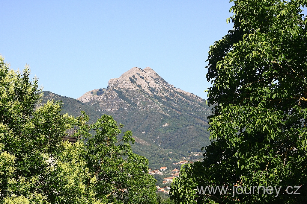 IMG_8335.JPG
