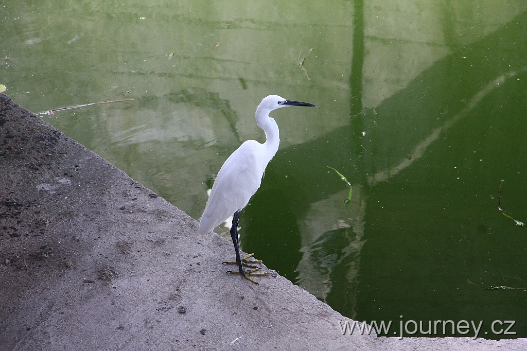 IMG_8463.JPG