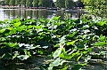 IMG_8464