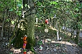 IMG_8476