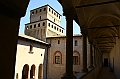 IMG_8502