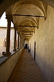 IMG_8503