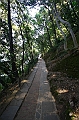 IMG_8521
