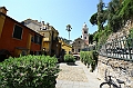 IMG_8526