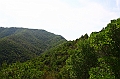 IMG_8551