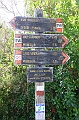 IMG_8553