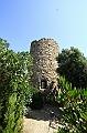 IMG_8556