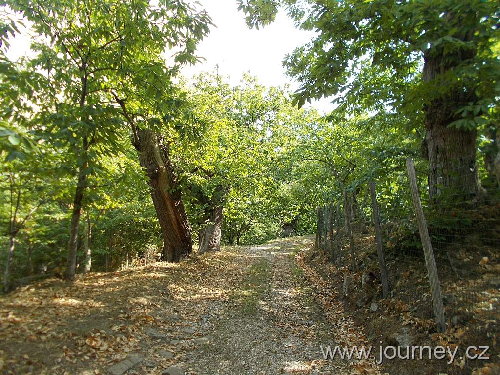 DSCN2595.JPG