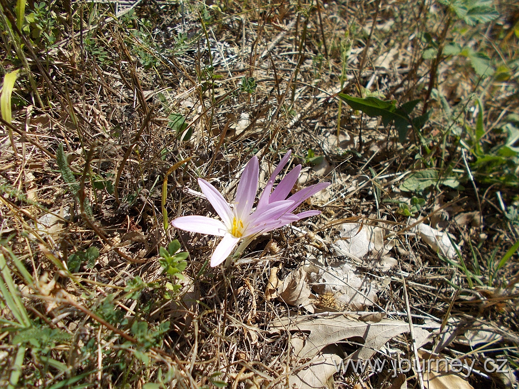 DSCN2597.JPG