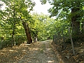 DSCN2595