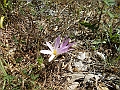 DSCN2597