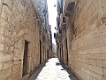 DSCN2684