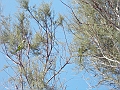 DSCN2695
