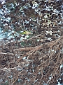 DSCN2697