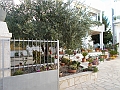 DSCN2721