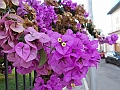 DSCN2723
