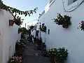 DSCN2731