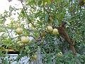 DSCN2735