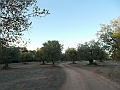 DSCN2744
