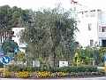 DSCN2746