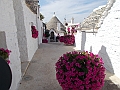 DSCN2755