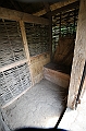 IMG_8794