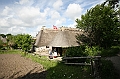 IMG_8795