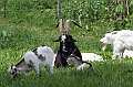 IMG_8799